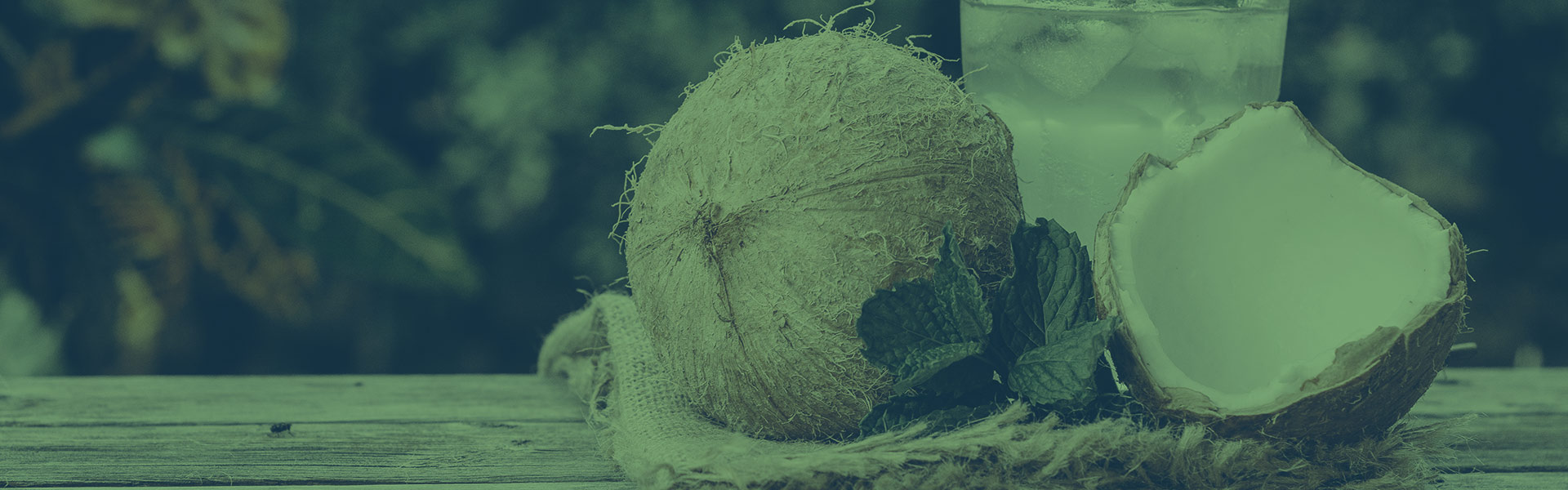 Coconut Production & Its Industrial Uses