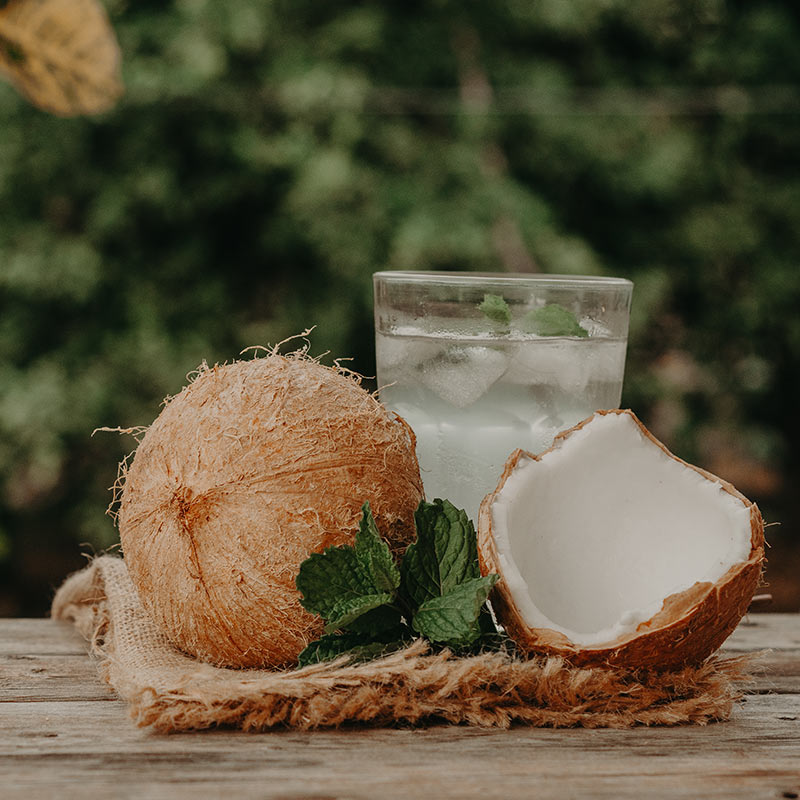 Coconut Production & Its Industrial Uses