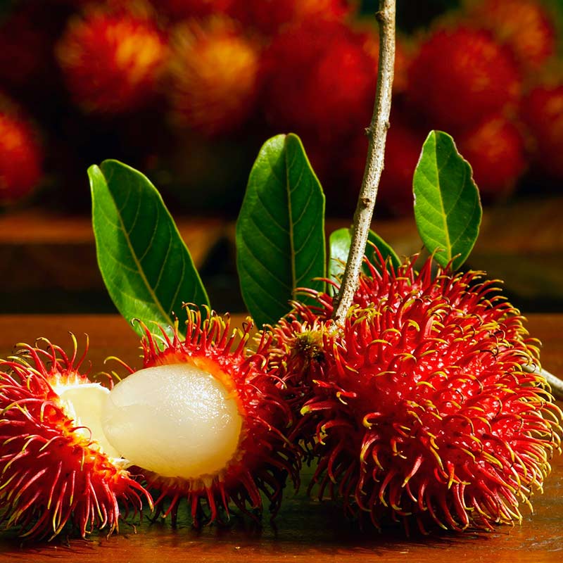 Healthy and Nutritious Rambutan Fruits